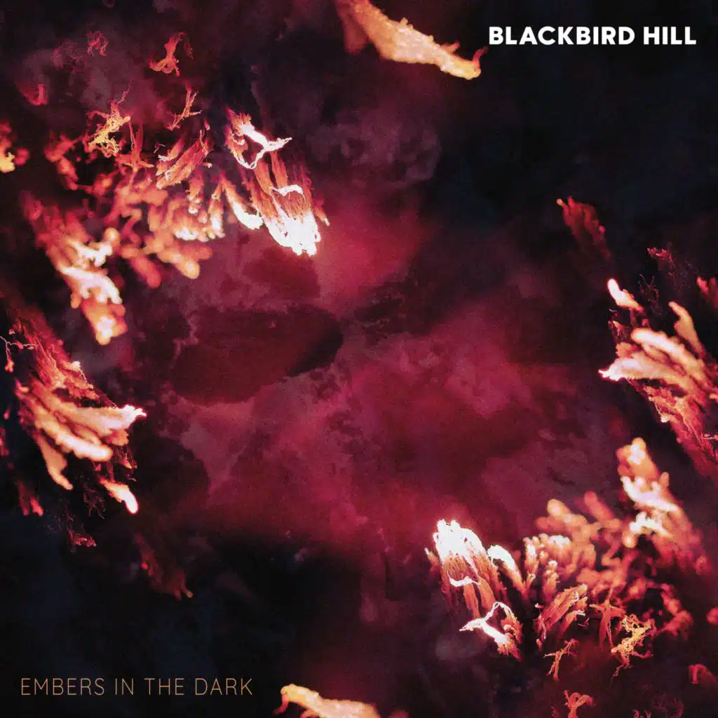Blackbird Hill