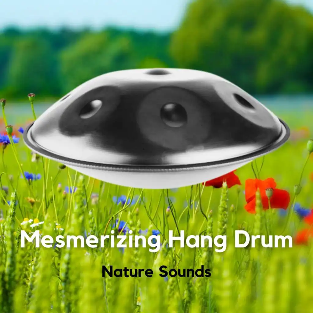 Mesmerizing Hang Drum & Nature Sounds