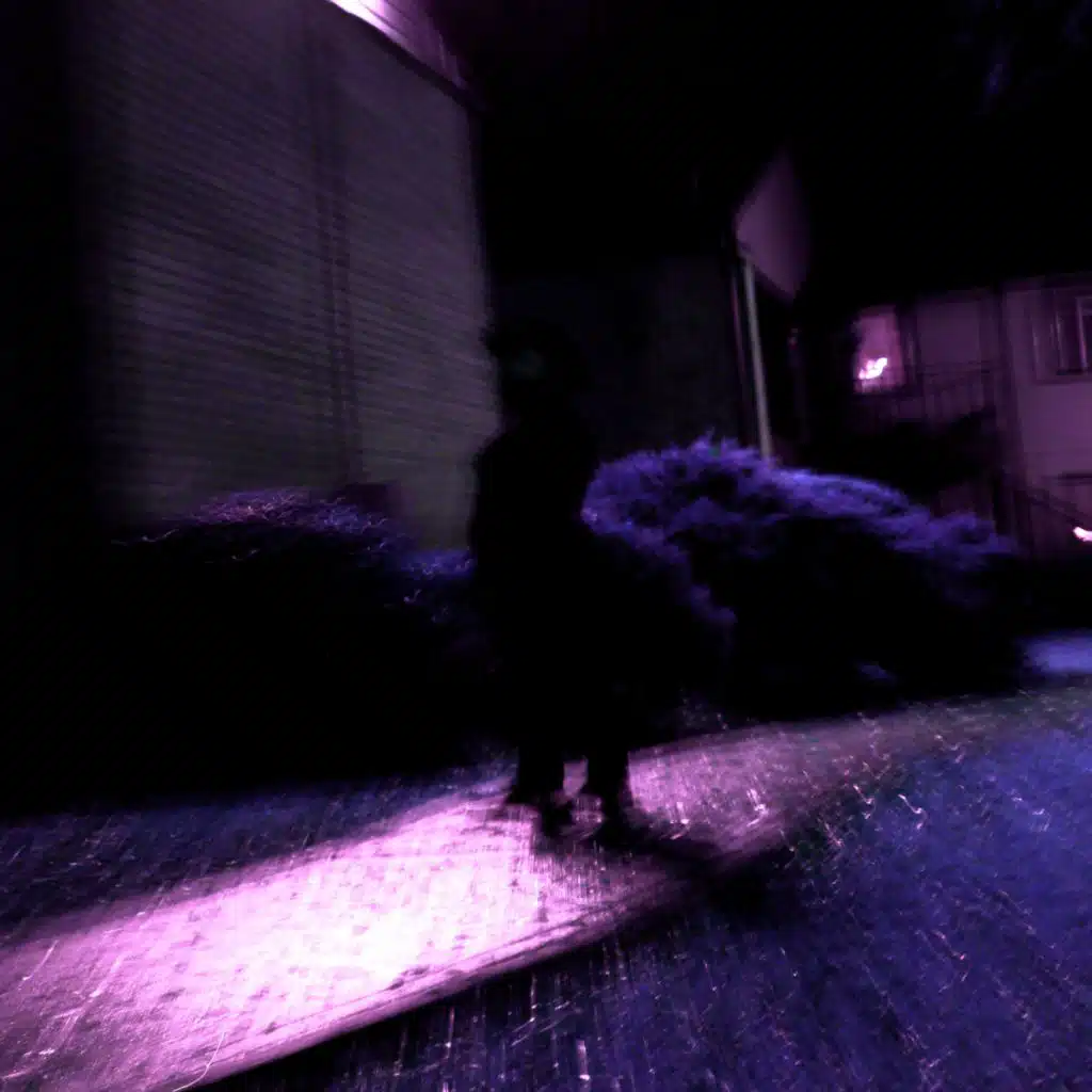 VIOLET