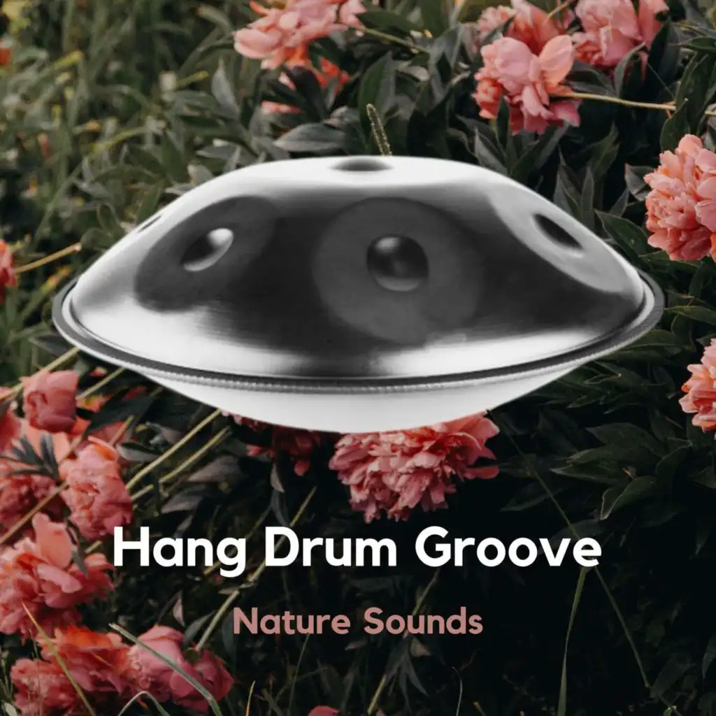 Hang Drum Groove (Nature Sounds)