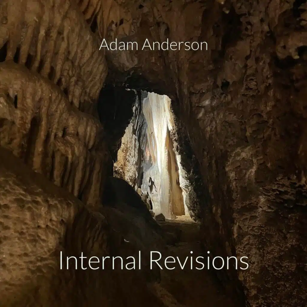 Internal Revisions