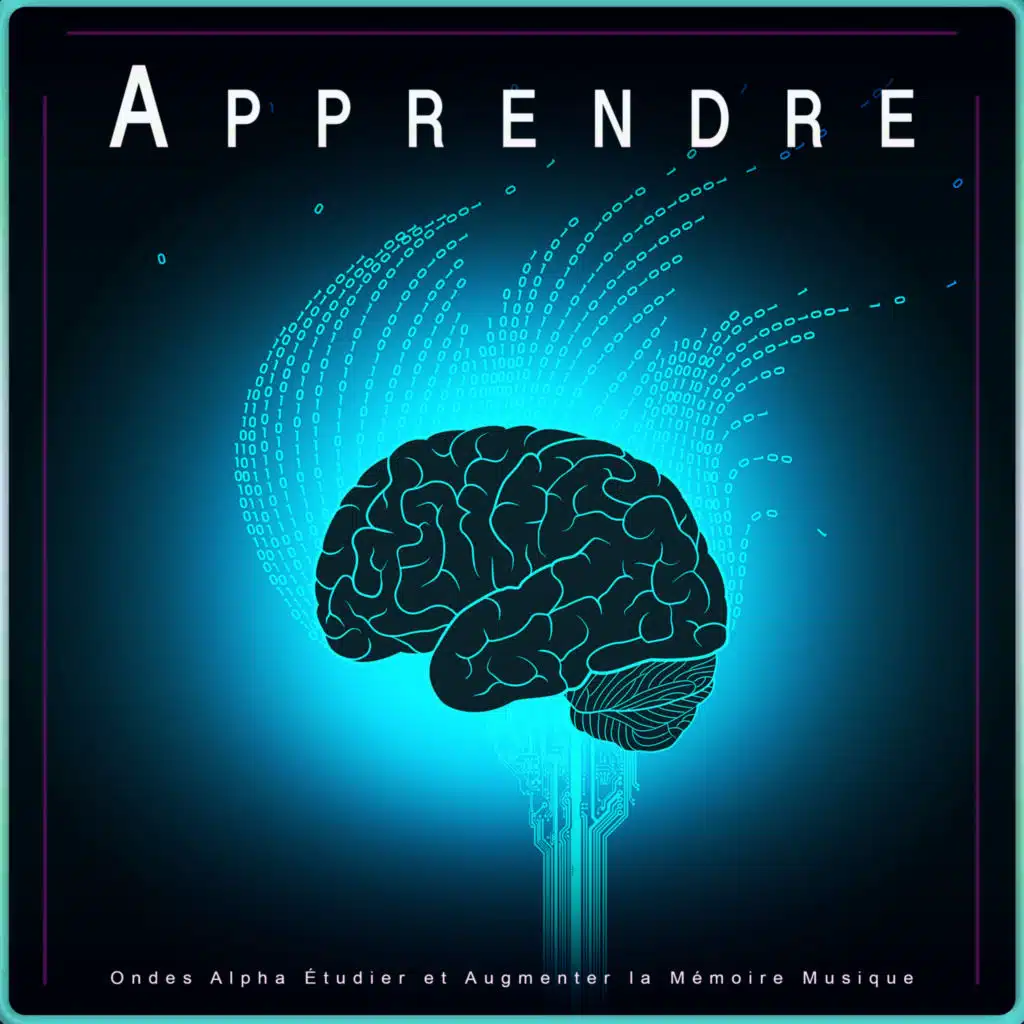 Concentration d'ondes alpha