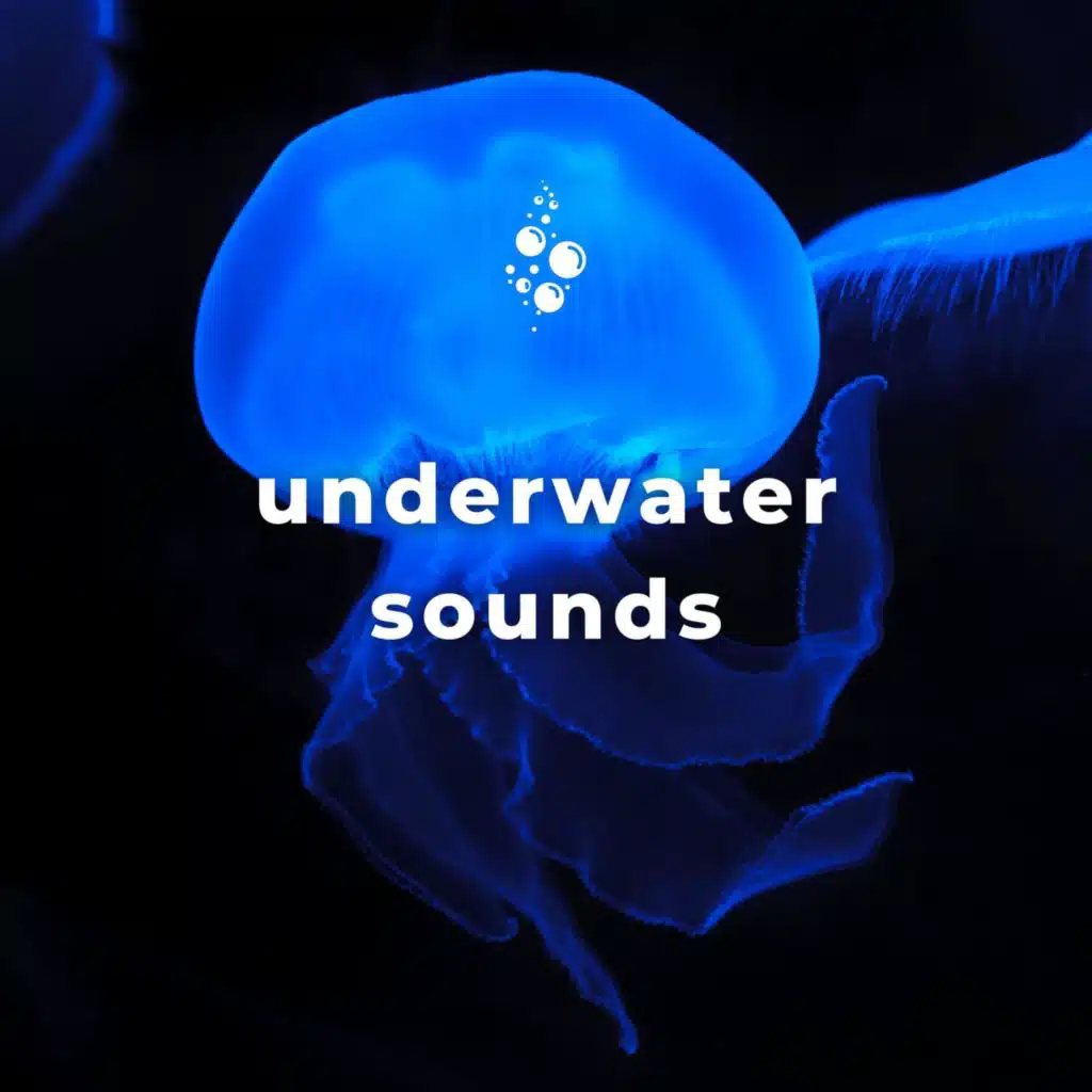 Underwater Sounds with No Music