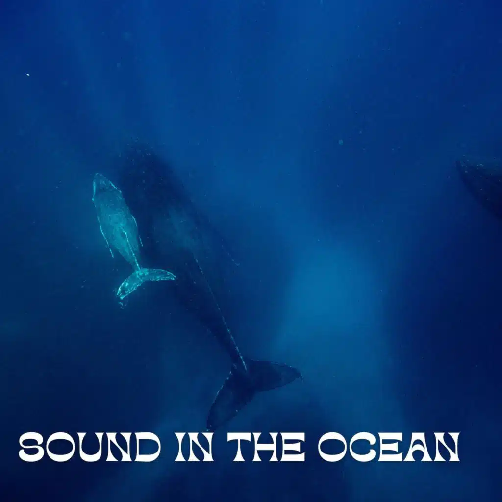 Sound in the Ocean