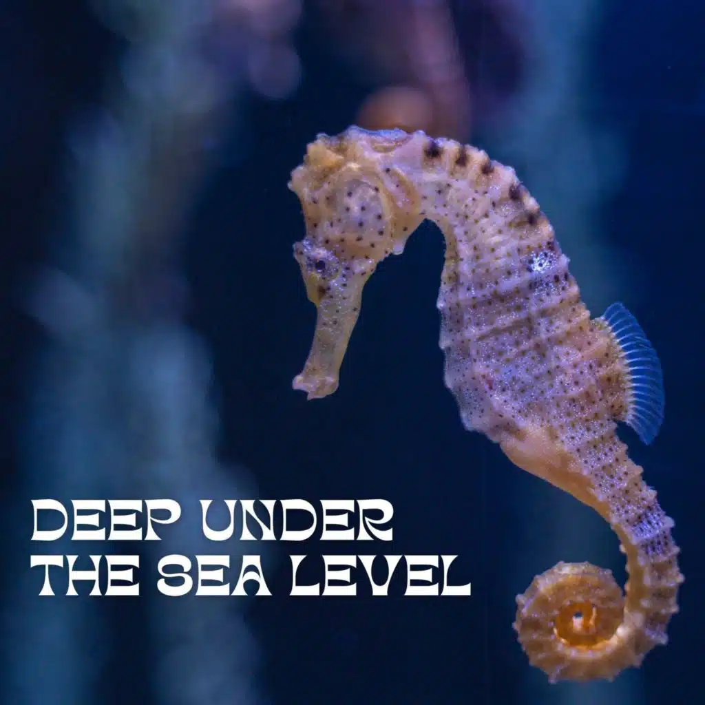 Underwater Sounds Channel & Water Soundscapes