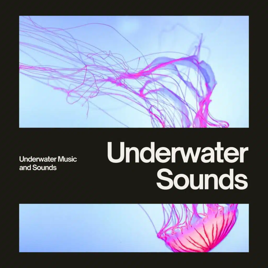 Underwater Music and Sounds, Whales & Nature Lab