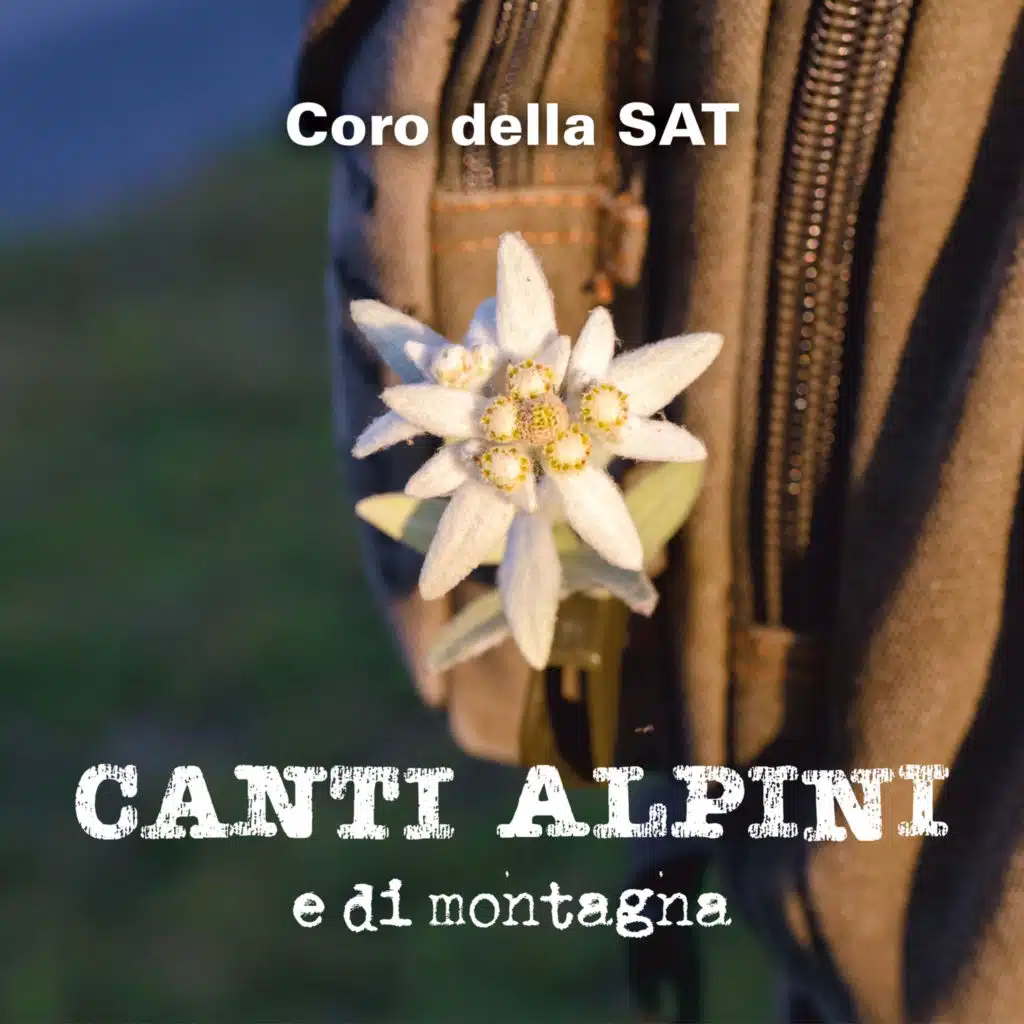 Canti degli Alpini (E di montagna)