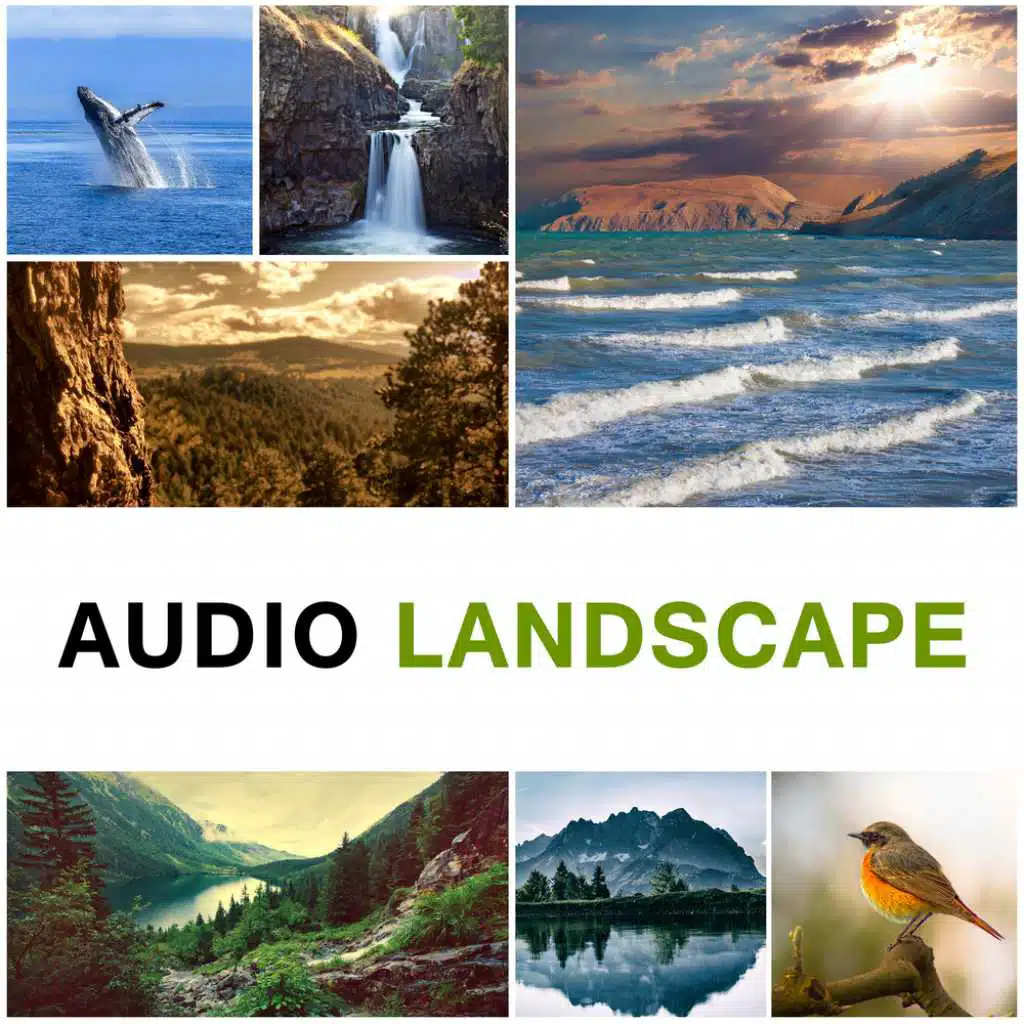 Audio Landscape