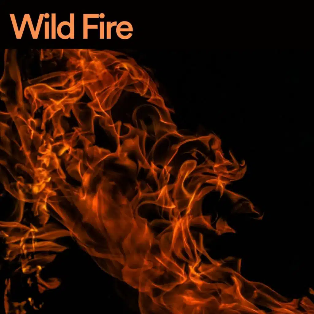 Open Fireplace Sounds, Pt. 3