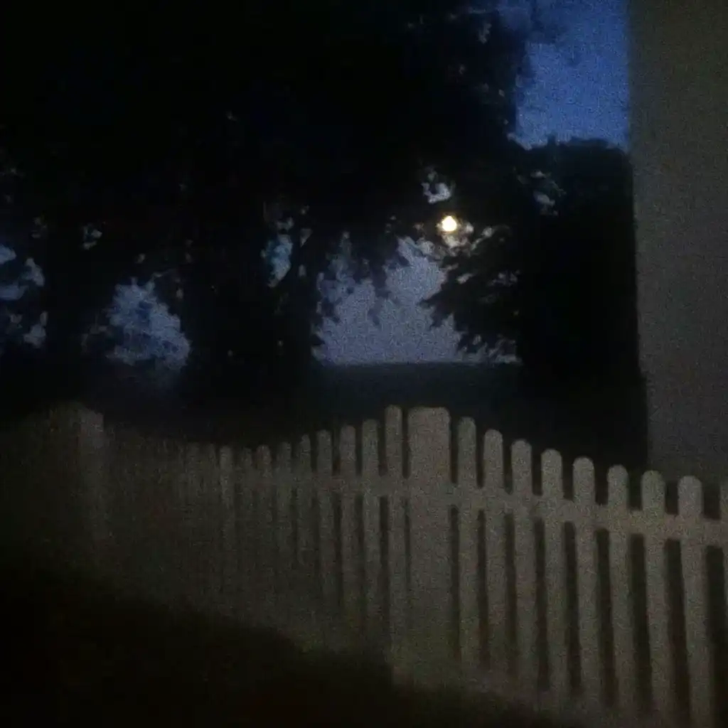 blurred moon