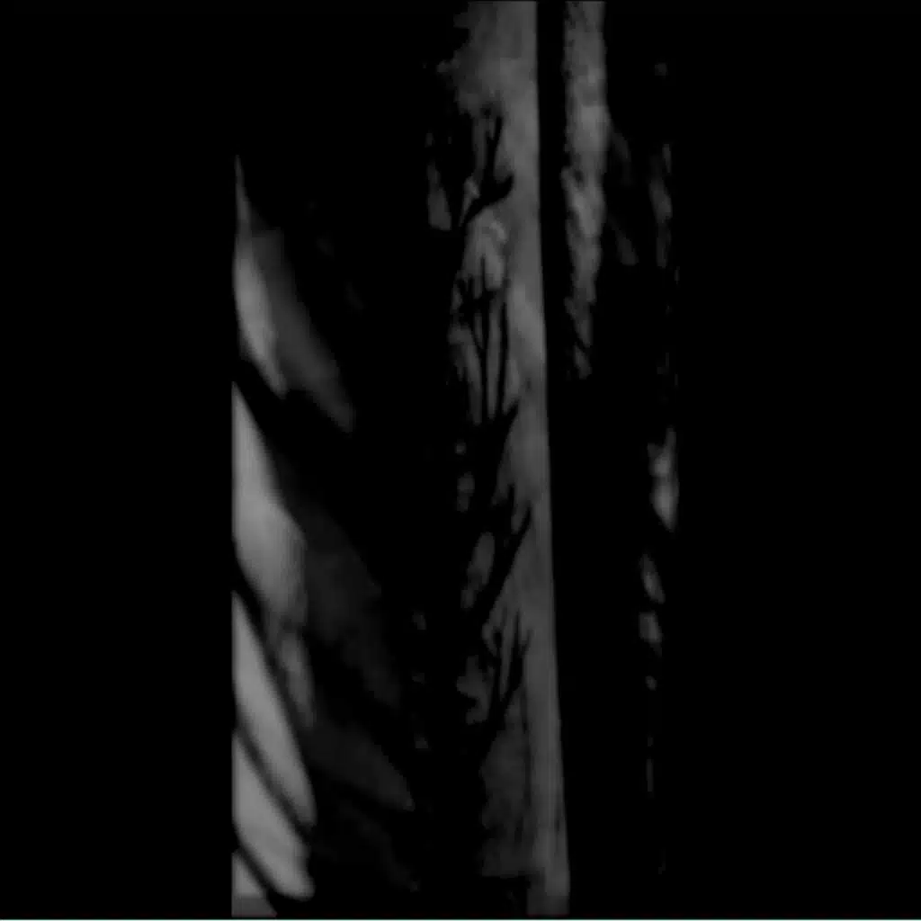 with black branches​.​. scars and wounds, the painful memories​.​.​.
