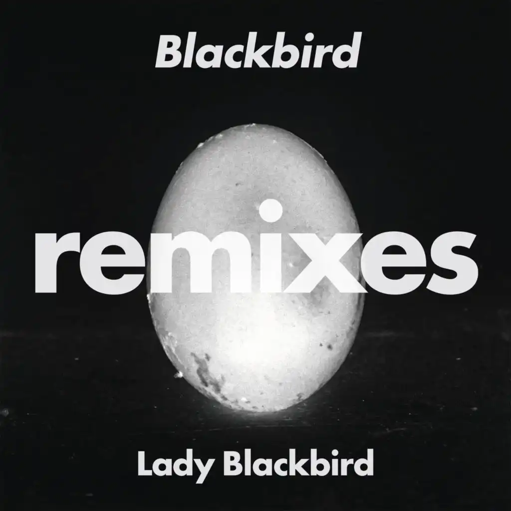 Blackbird (Remixes)