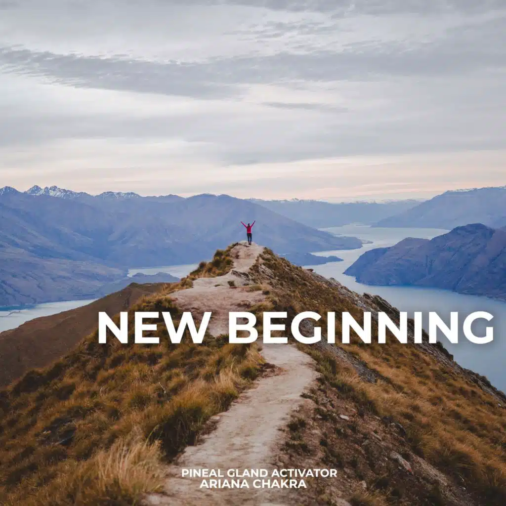 New Beginning