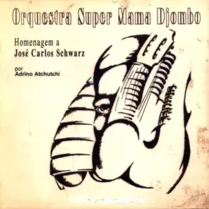 Orquestra Super Mama Djombo