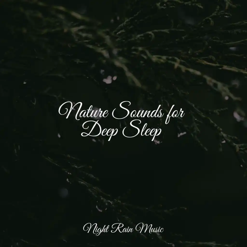 Ocean Waves (Medium)