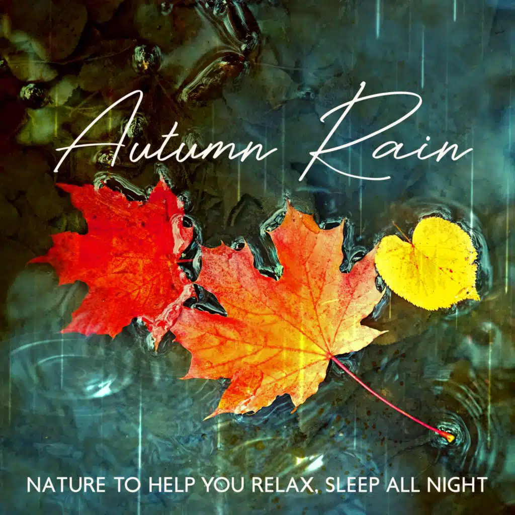 Relaxing Rain Sleep
