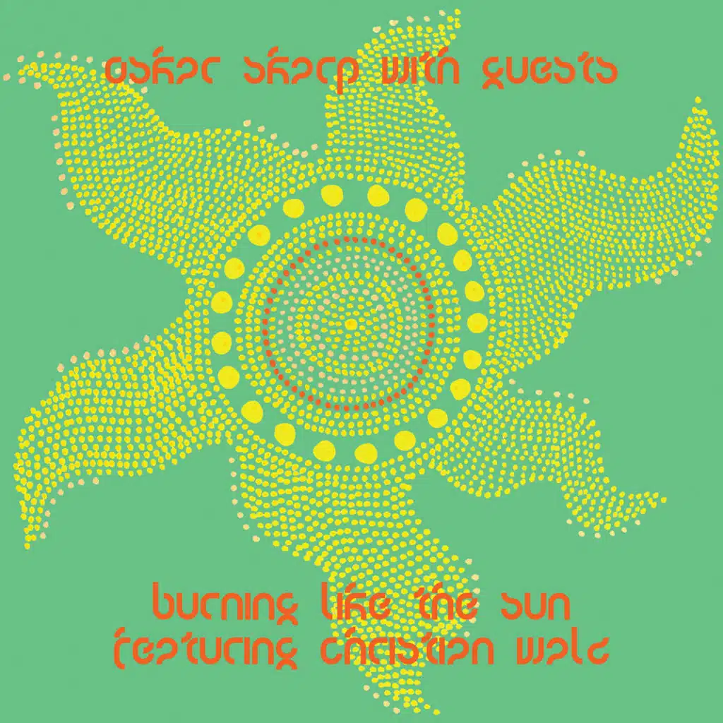 Burning Like the Sun (feat. Christian Walz)