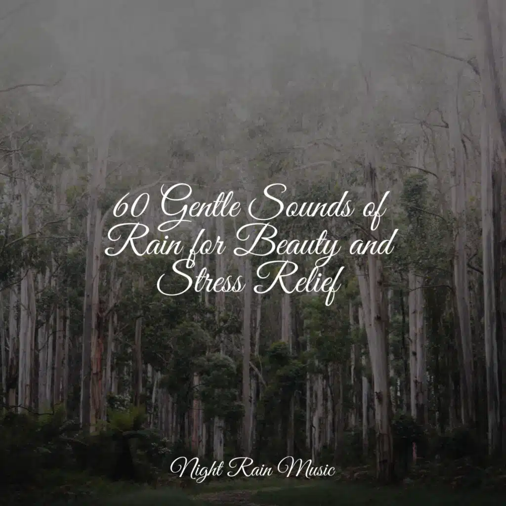 White Noise Rainy Boats