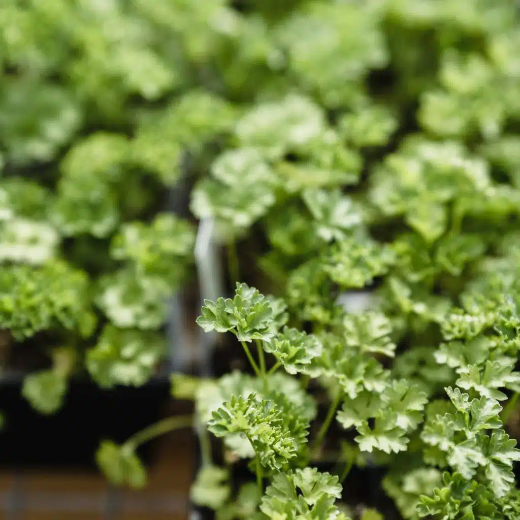 Pink Noise for Baby Sleep