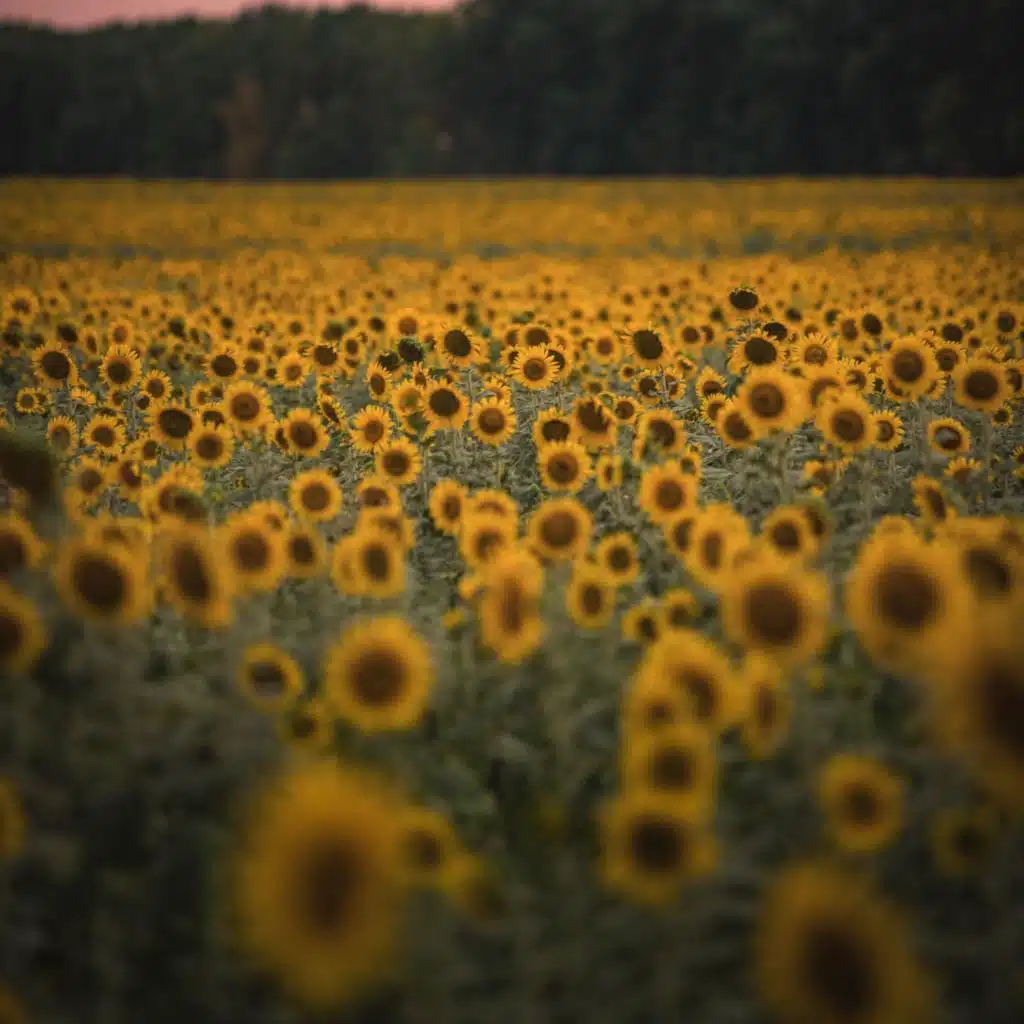 Pink Noise Sleep Baby