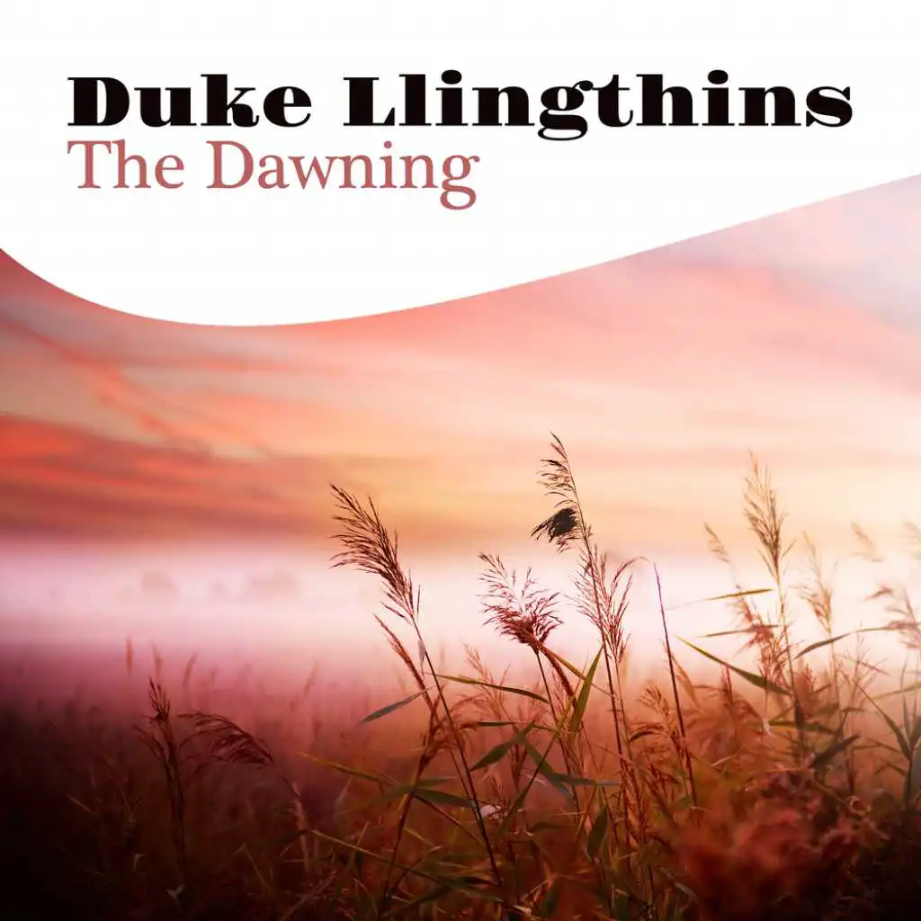 Duke Llingthins