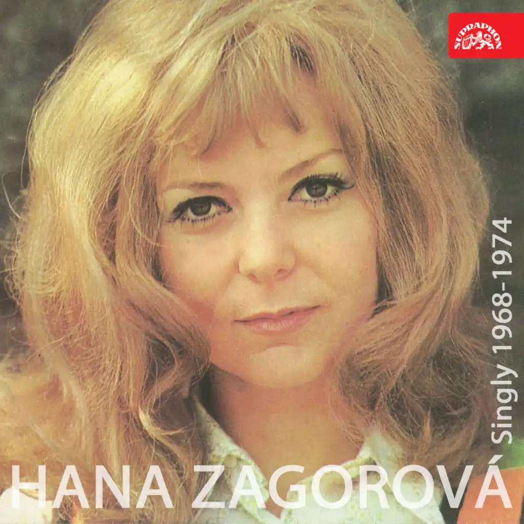 Hana Zagorová, Flamingo
