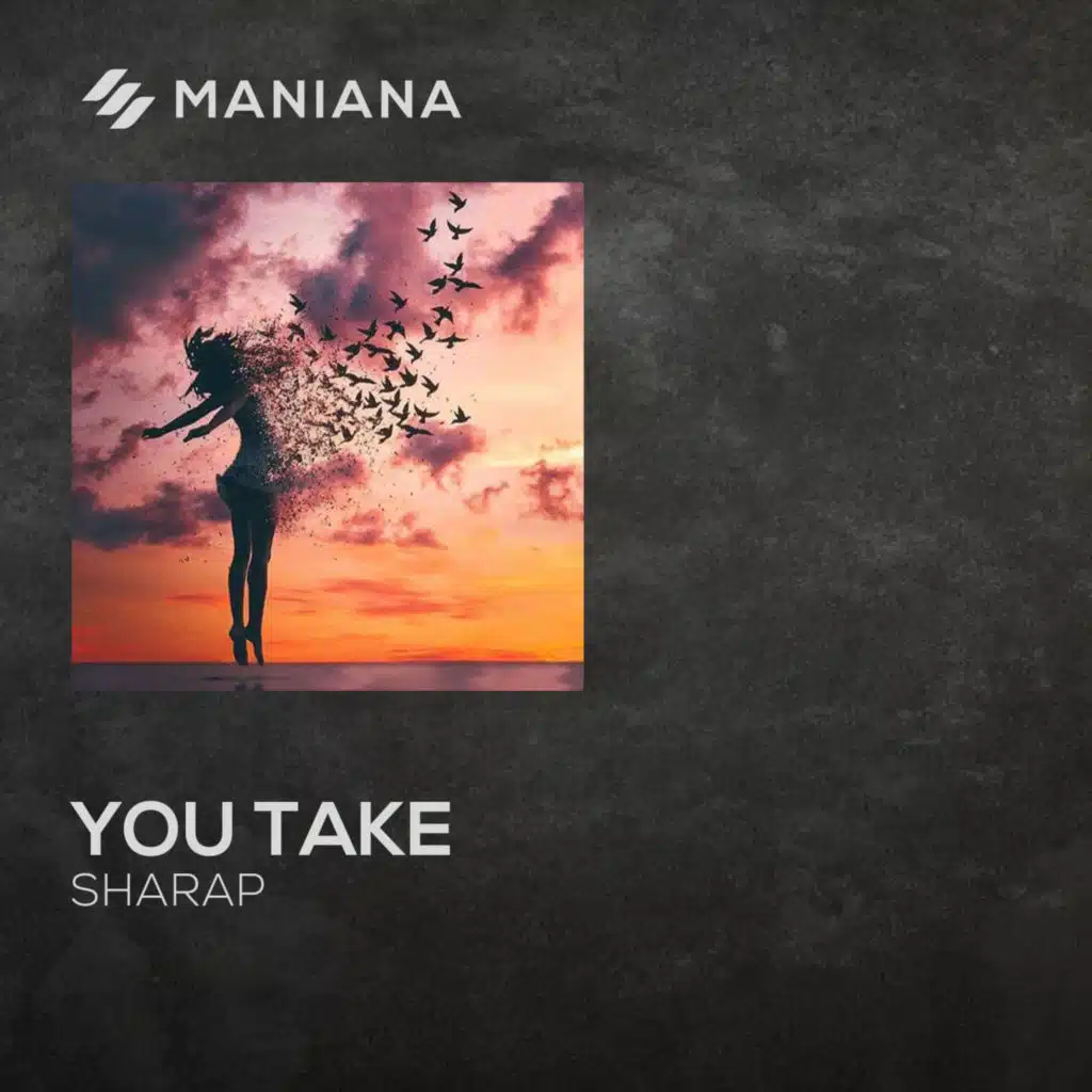 You Take (Extended Mix)