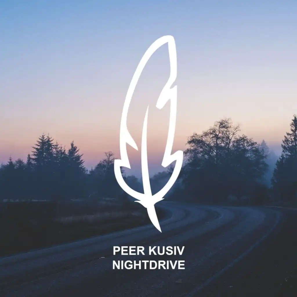 Nightdrive (Rauschhaus Remix) [feat. Fynn]