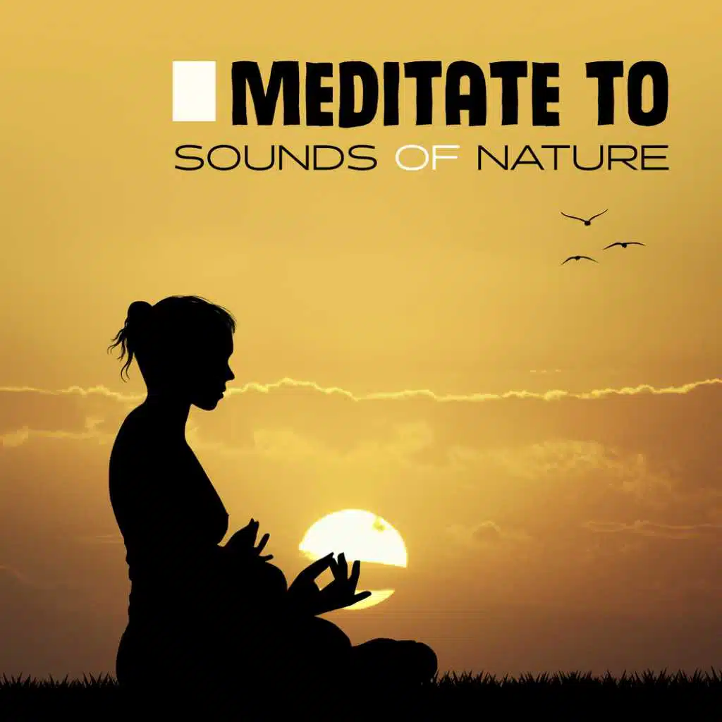 Meditate to Sounds of Nature