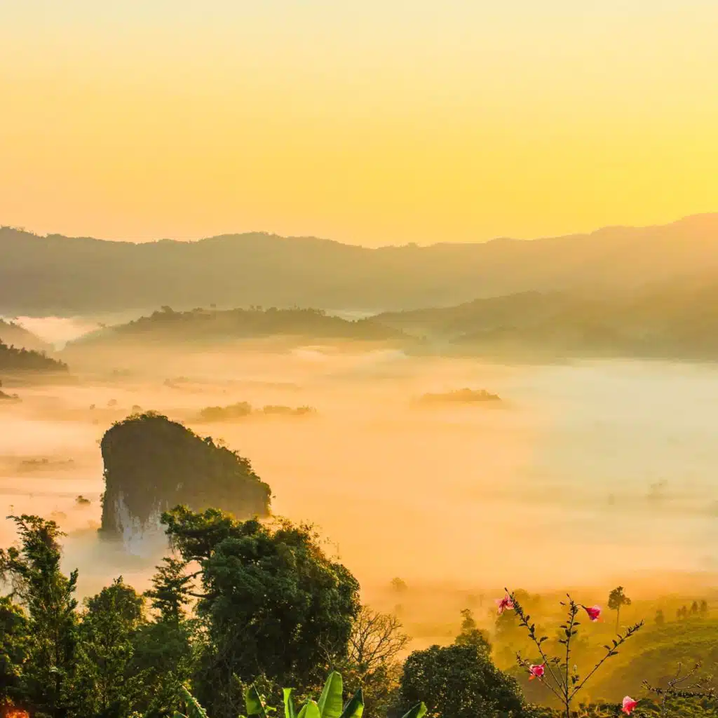 李慧