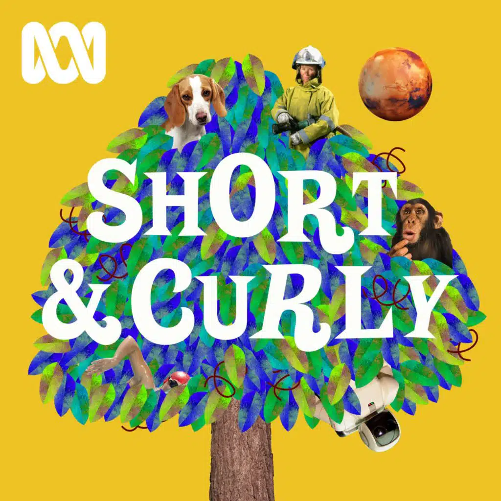 BITE — Money on the Street