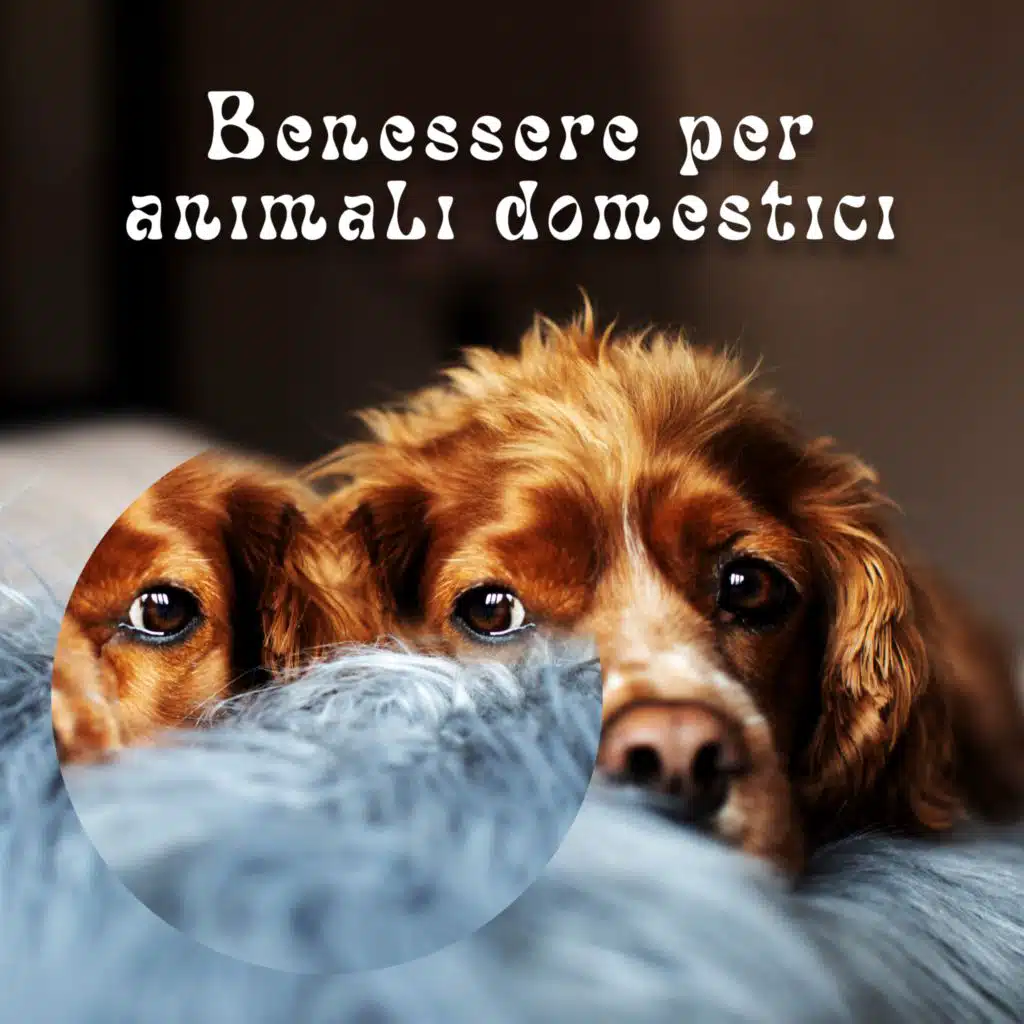 Benessere per animali domestici (Musica tranquilla per calmare il tuo animale domestico)