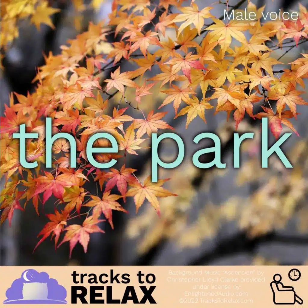 Relaxing in the Park Nap Meditation