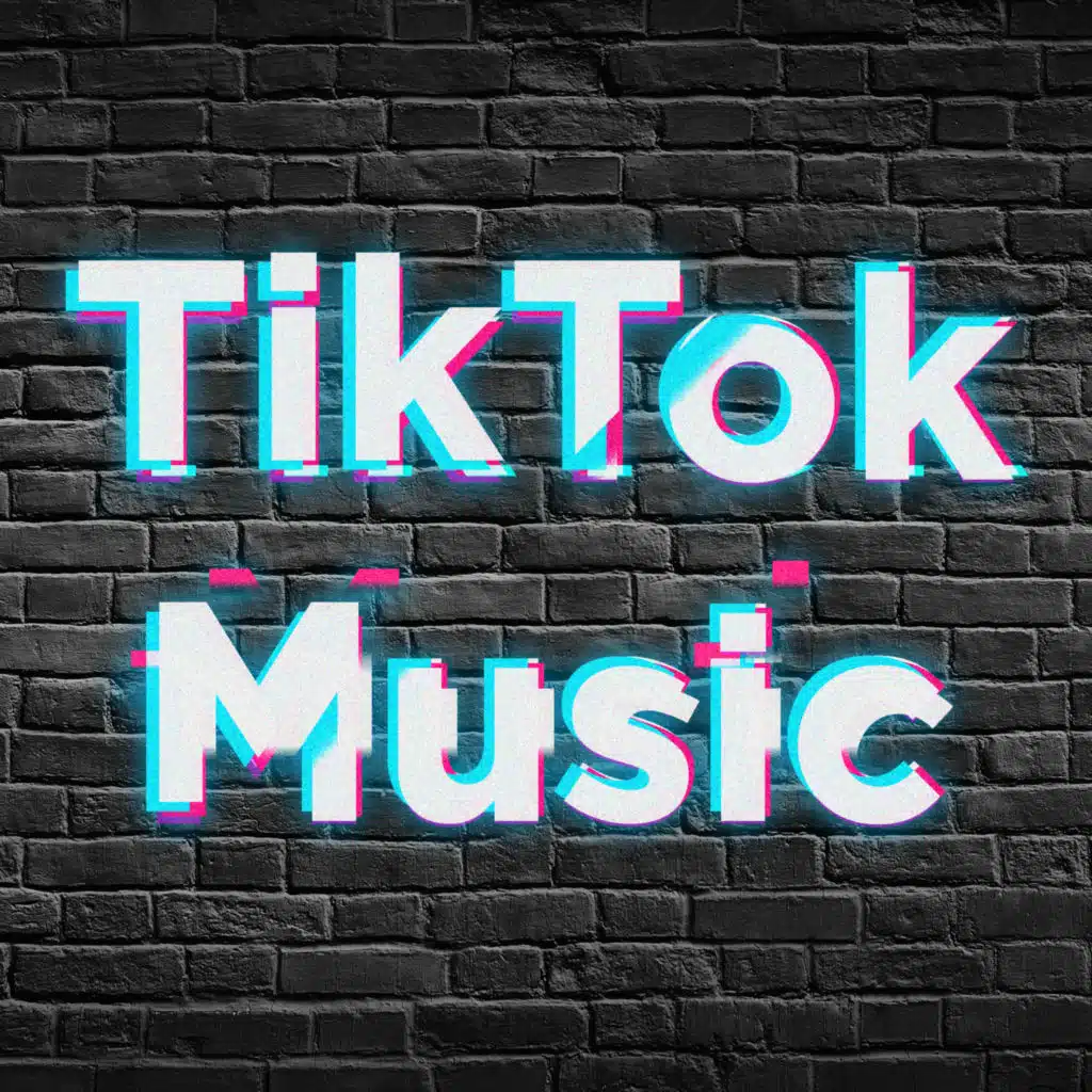 Playlist For TikTok Videos