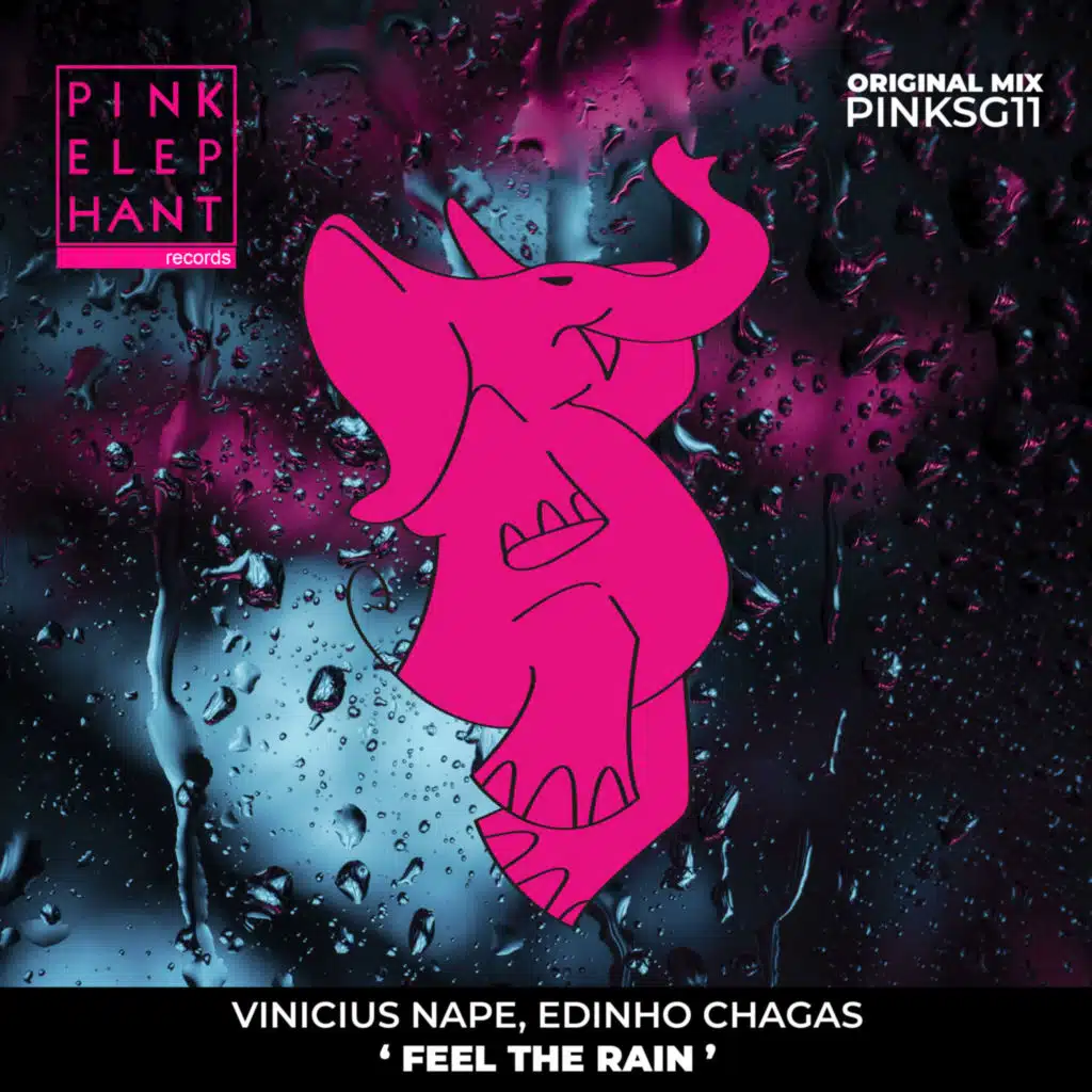 Vinicius Nape & Edinho Chagas