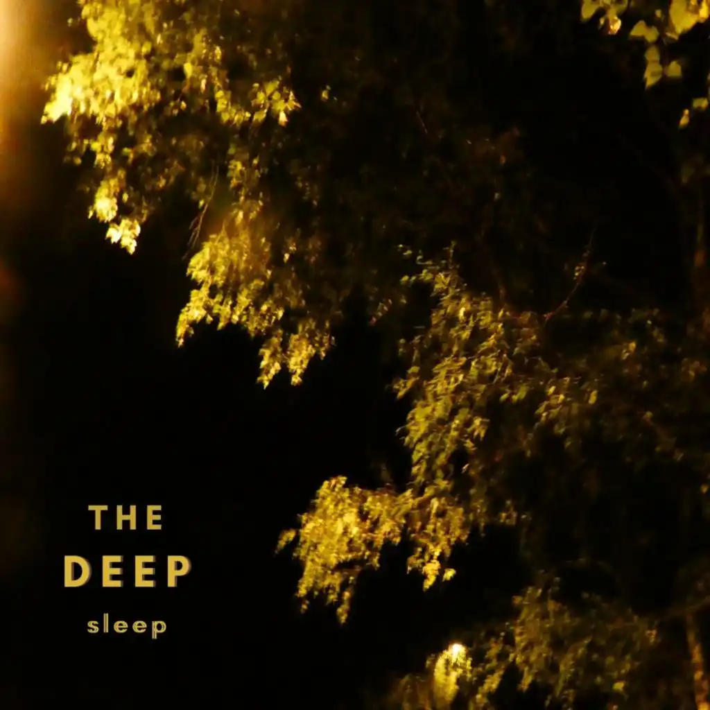 Deep Sleep