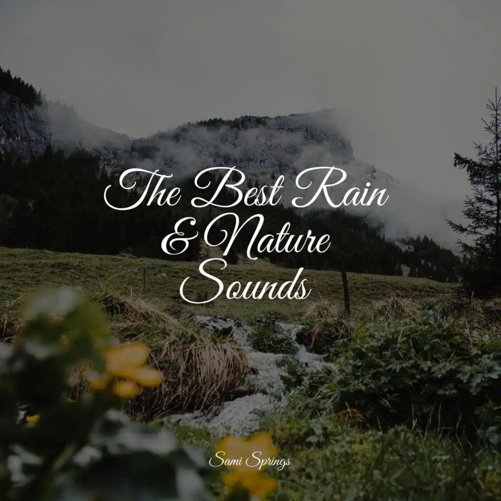 The Best Rain & Nature Sounds