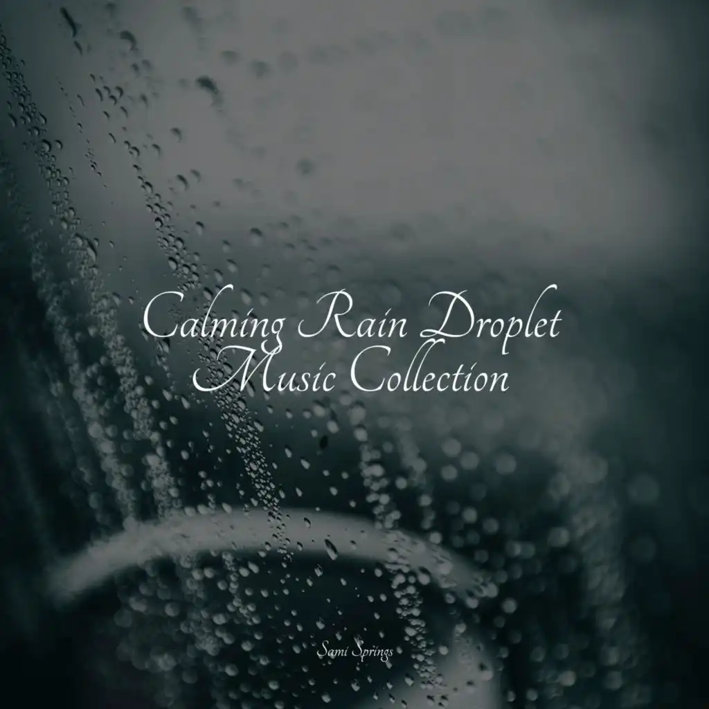 Calming Rain Droplet Music Collection