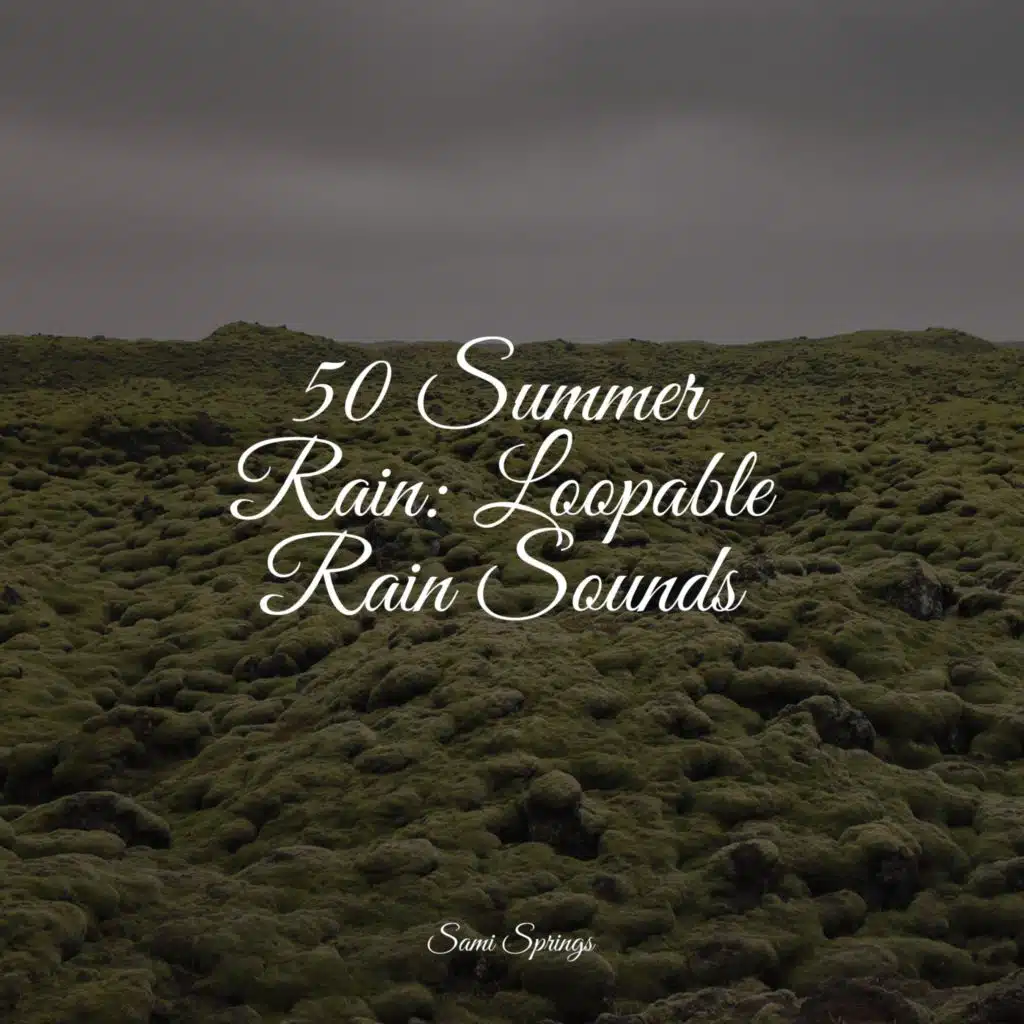 Seagulls on the Beach (Relaxing Ocean Waves)