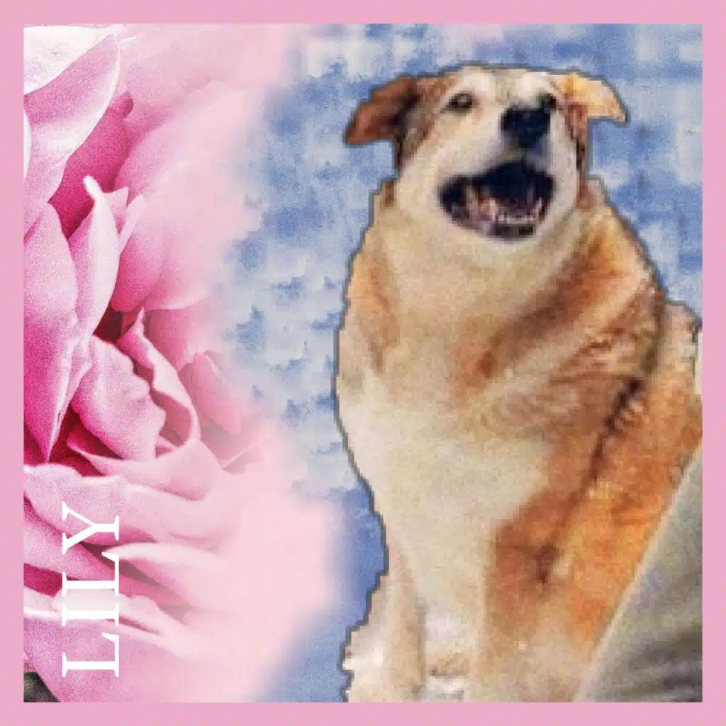Lily