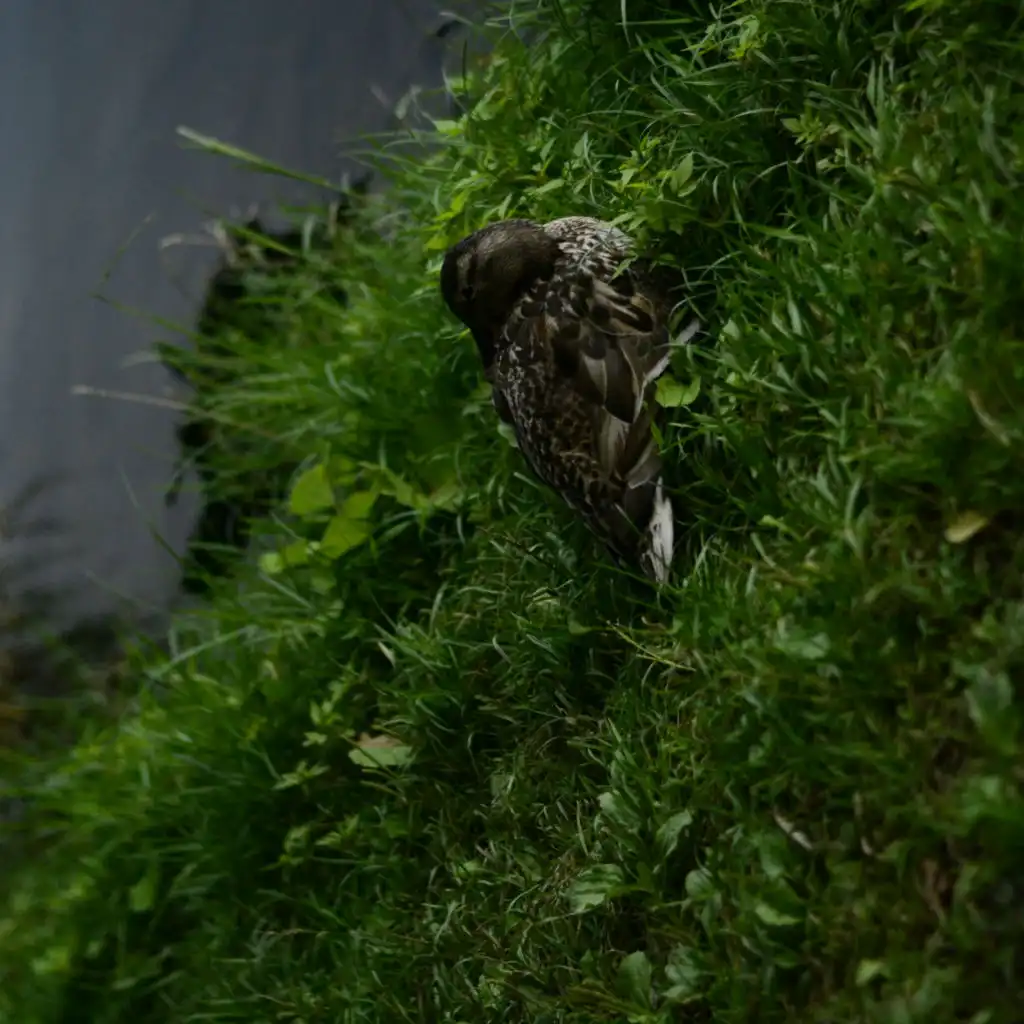 Music for focus (432Hz)