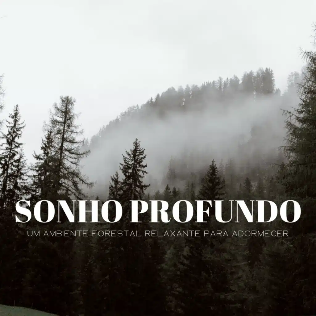 Uma Floresta Silenciosa