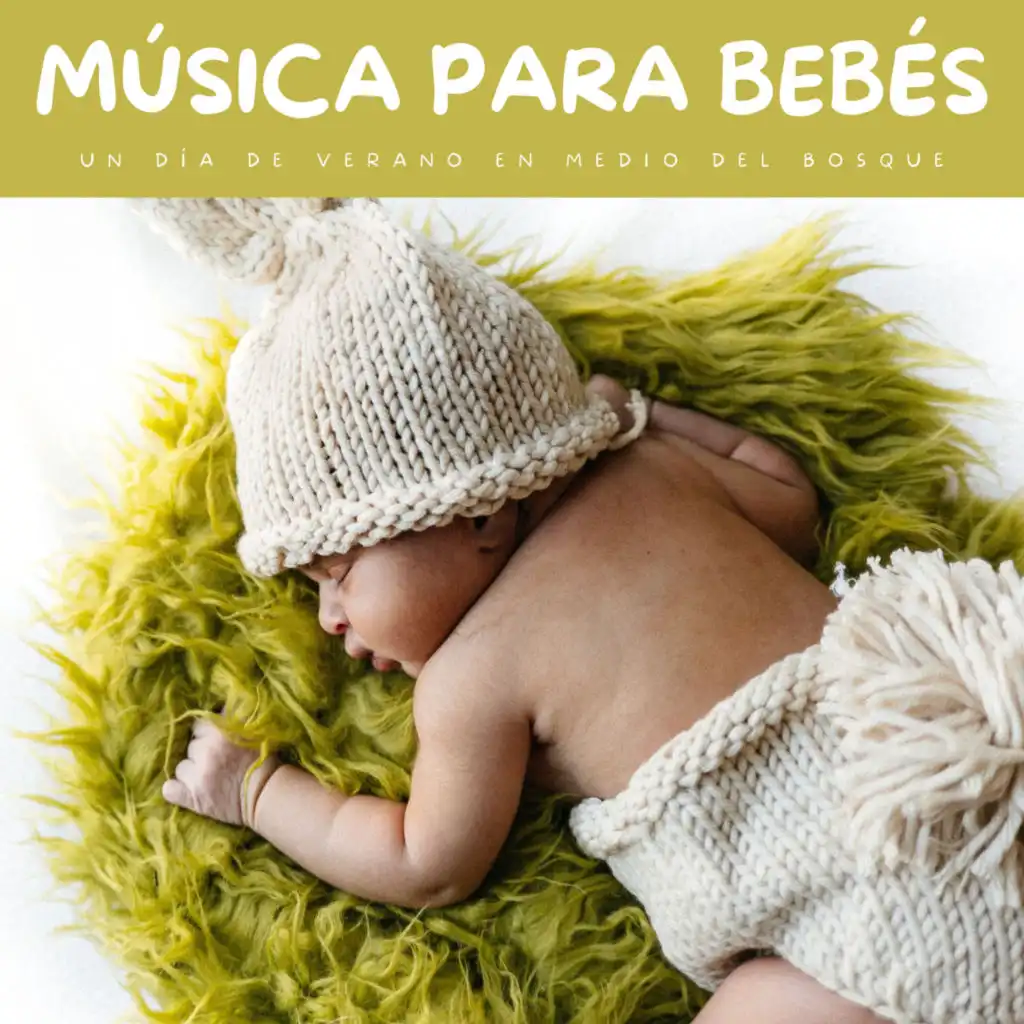 Música Para Bebés: Un Día De Verano En Medio Del Bosque