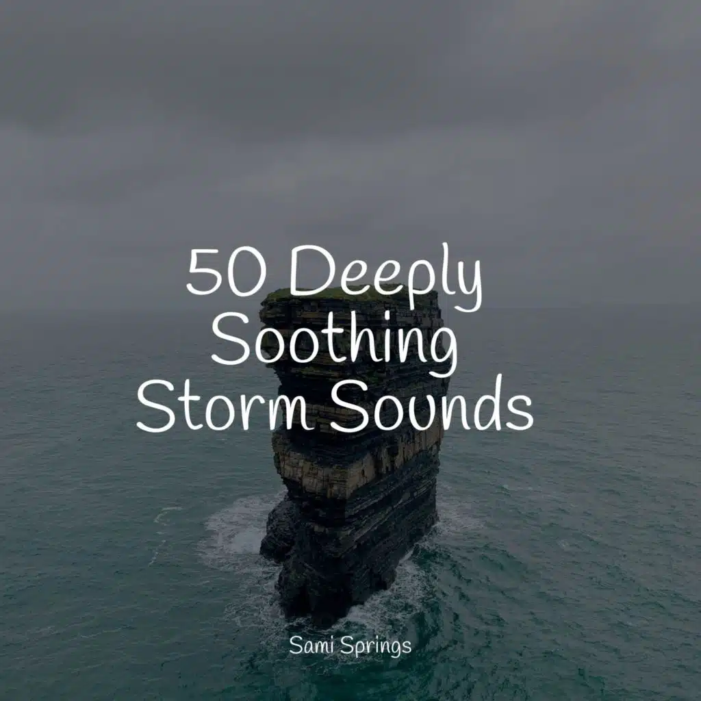 50 Meditation Rain Sounds