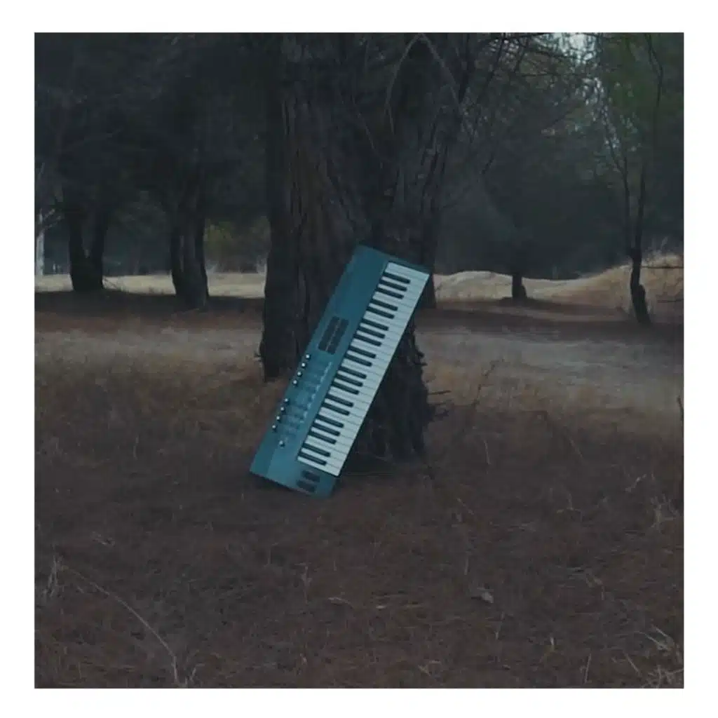 Tabat We Nabat & Despacito (Acoustic)