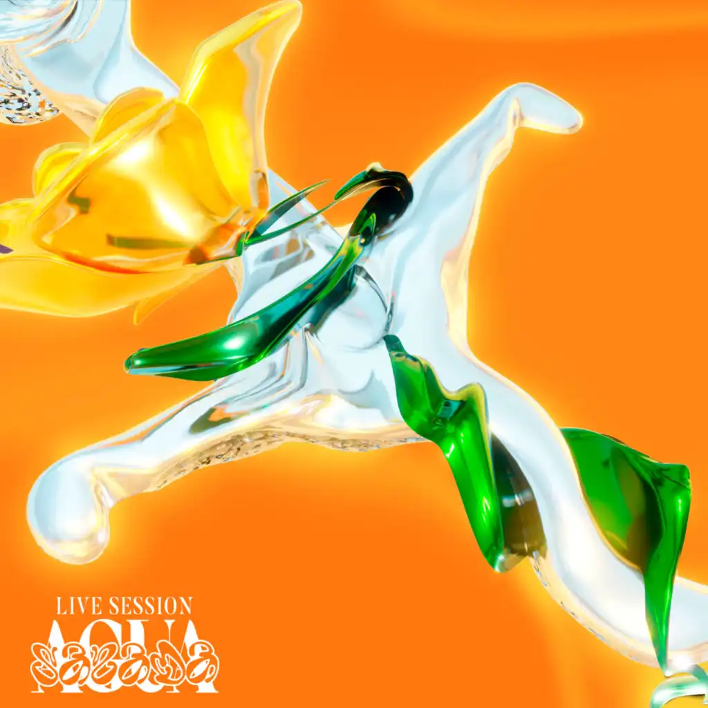 Agua Salada Live Session