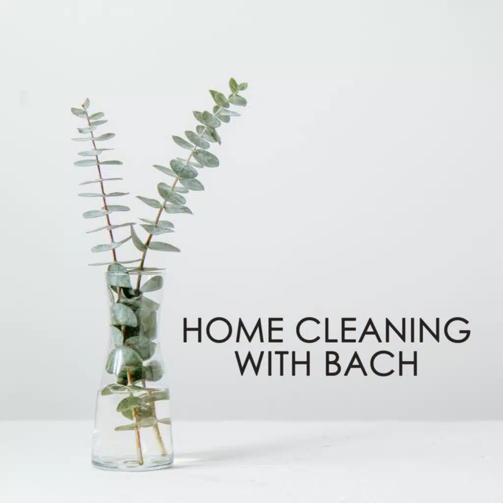 Home cleaning with Bach