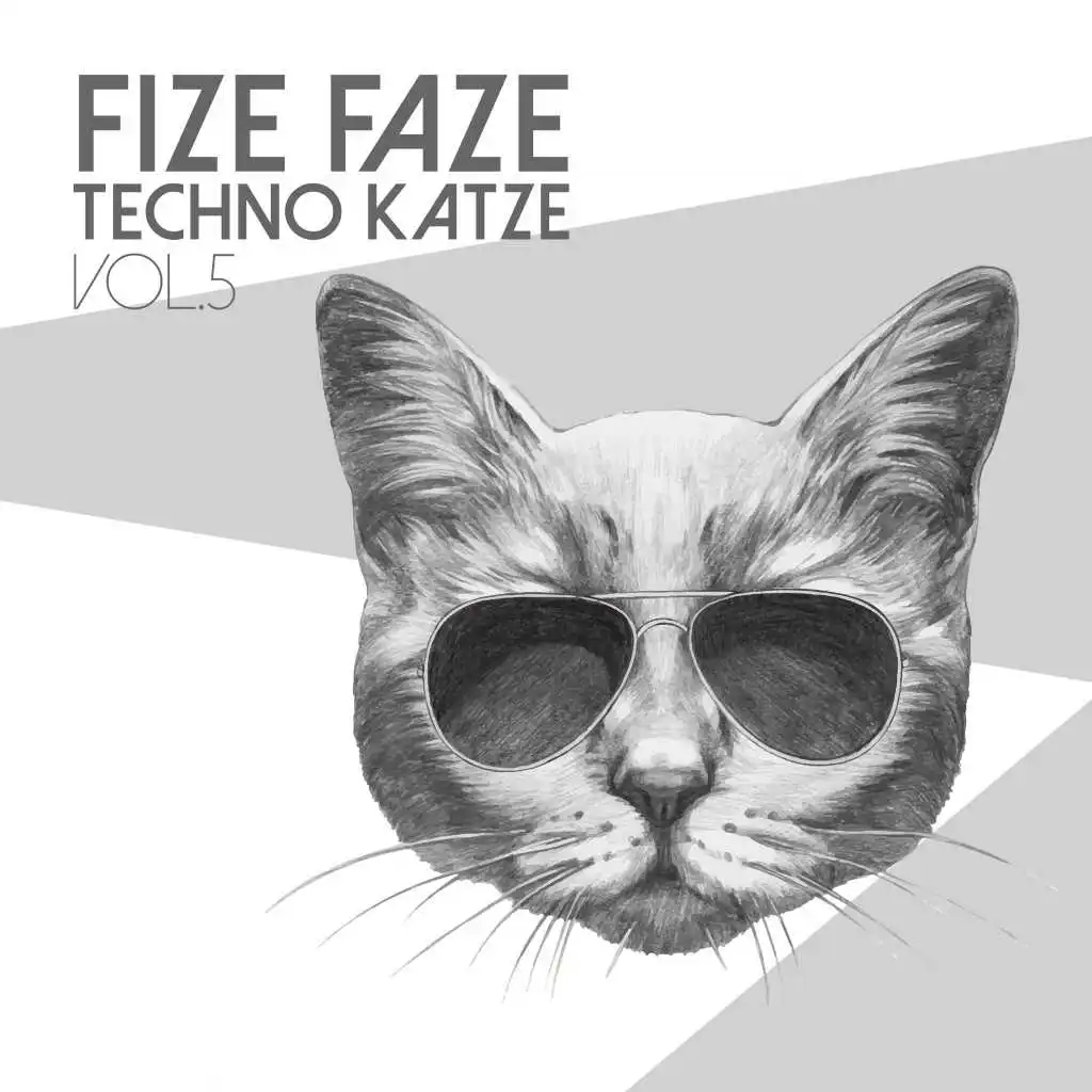 Fize Faze Techno Katze, Vol. 5