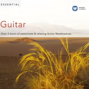 Essential Guitar