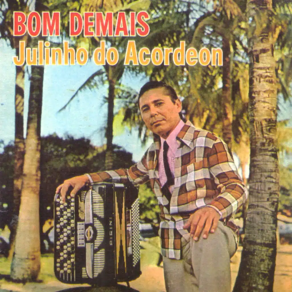 Julinho Do Acordeon